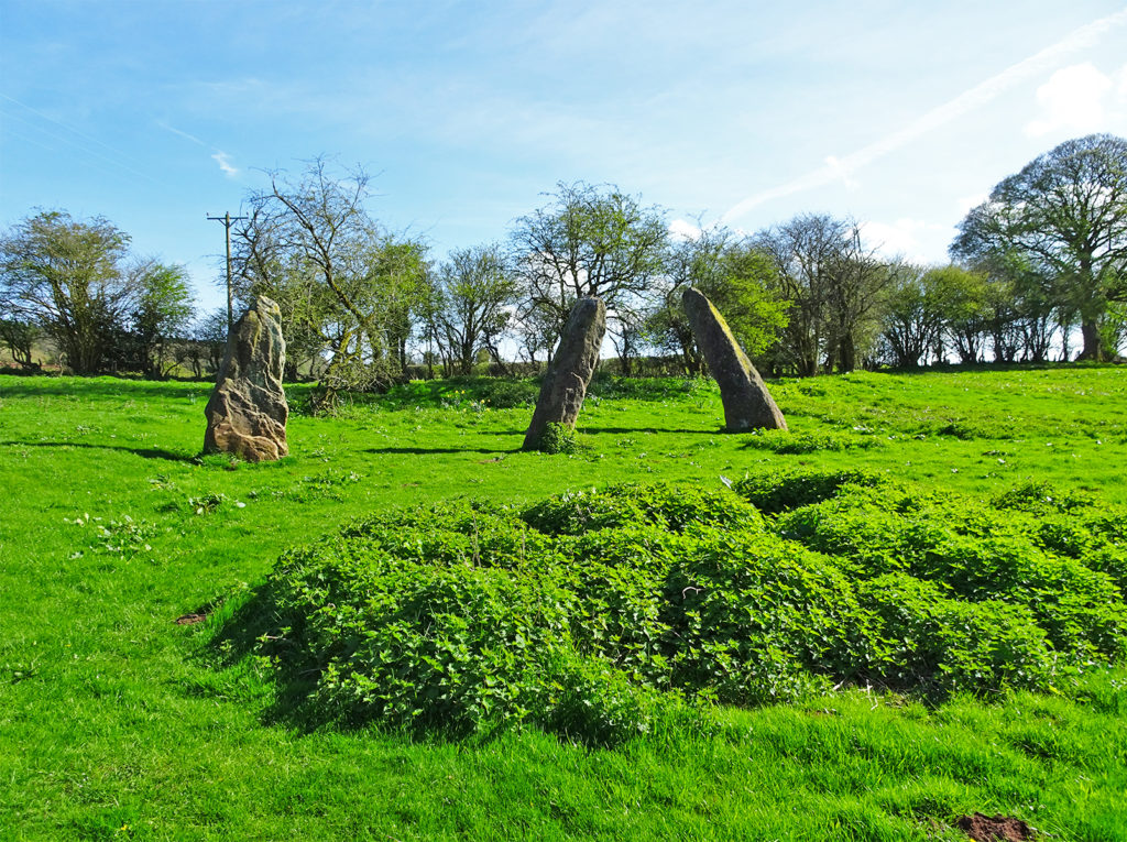 Harold's Stones Strolls 'n' Stories One Epic Road Trip Blog