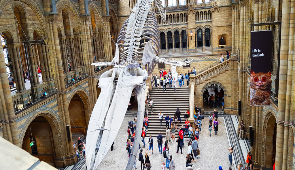 11 London film locations you can visit (The Natural History Museum) - One Epic Road trip